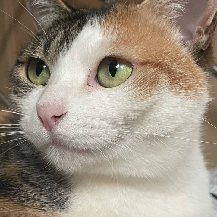 F476a299 8bde 4312 bc6c 1bf83e29f2c5 1616268114160