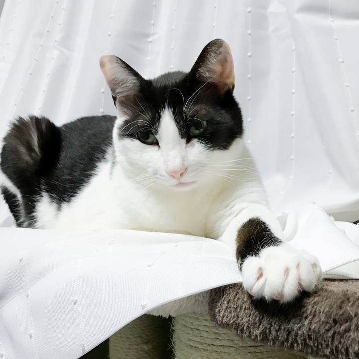 F476d258 85d9 41f3 97ae a013e4e68c35 1529370806622