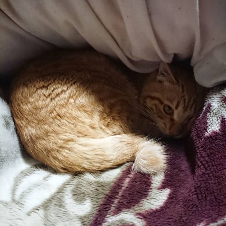 F476fae5 956f 4eba 87dd 97d230460639 1646138410880