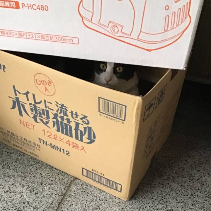 F4772977 b6bf 4e16 b3ef 65b2eded363b 1655715930036