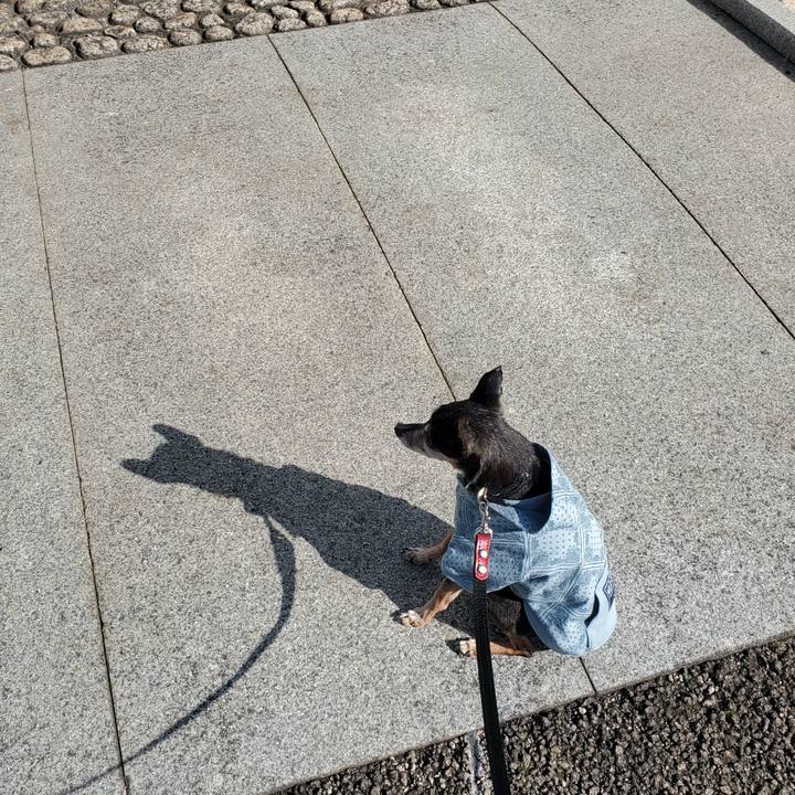 F47753f1 6476 4f44 abaa fcc2eec62537 1674266575204