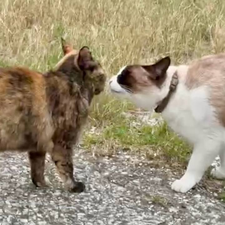 F4775520 7be7 42c5 9221 c516fa4efa92 1744250267432