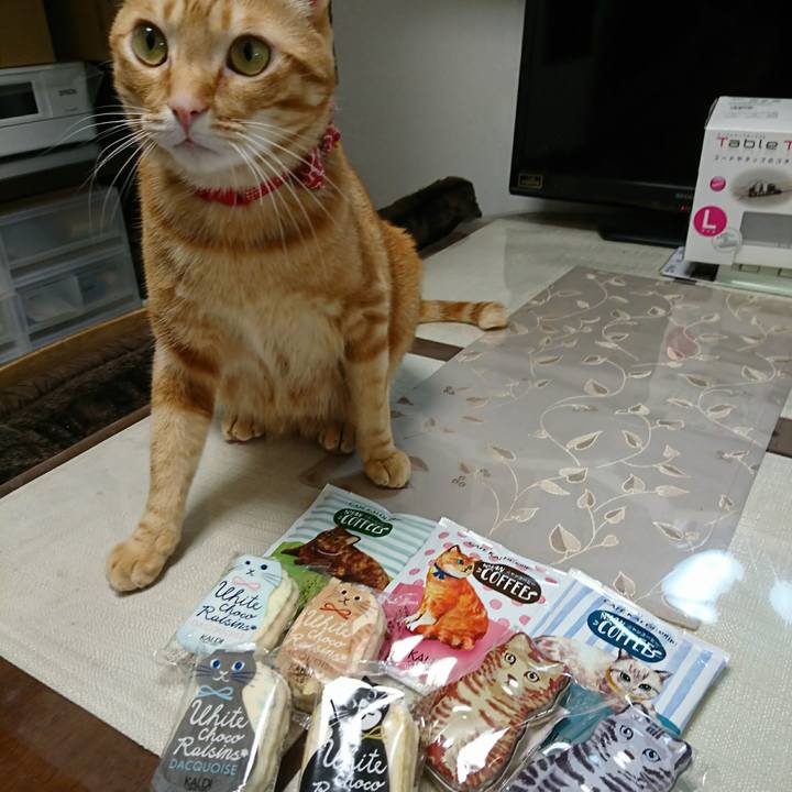 F477807d 62c2 4501 af1b 3cbf099fa036 1518933859896