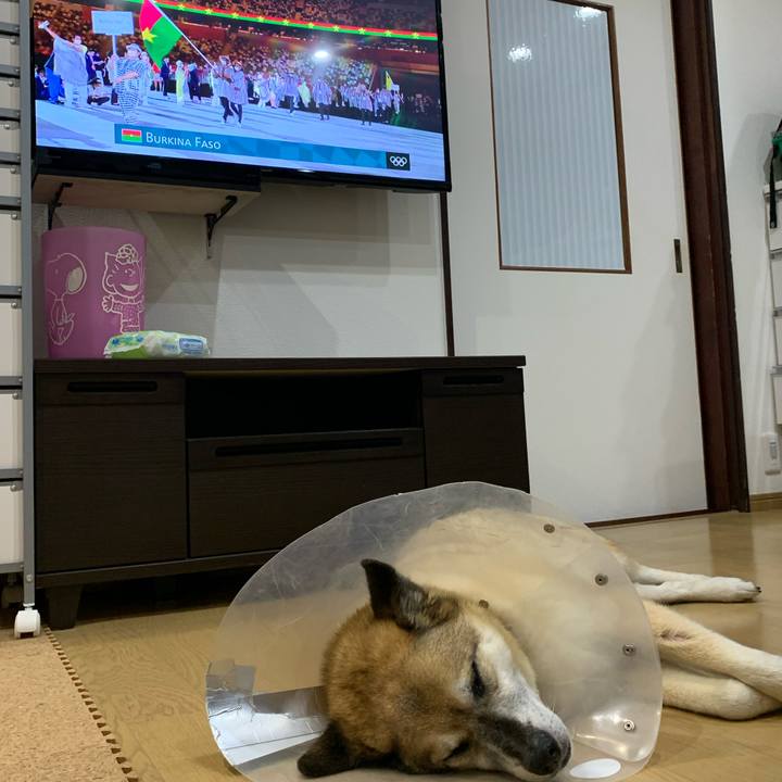 F4779436 8d5f 4285 a136 a8f4bd4a1128 1627045792689