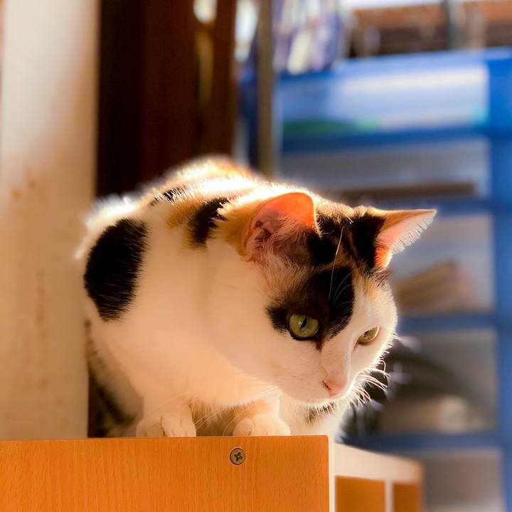 F477b5da 27e9 45d3 b56c 12486fe44687 1562897966226