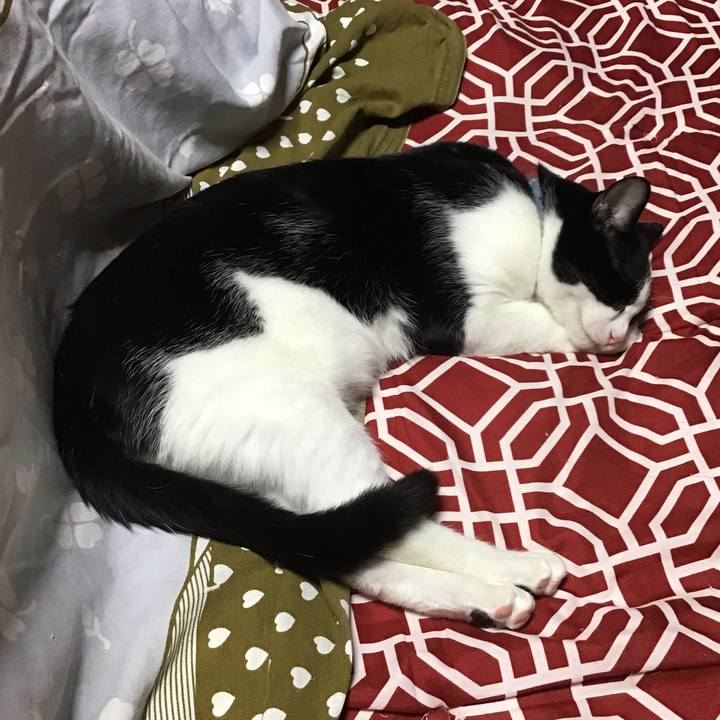 F477c99e ee36 4b08 94e0 010d67982d90 1634632806495