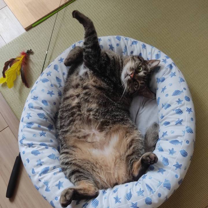 F477d6f5 c3c0 40df 8045 b27bcd231c70 1622632298622