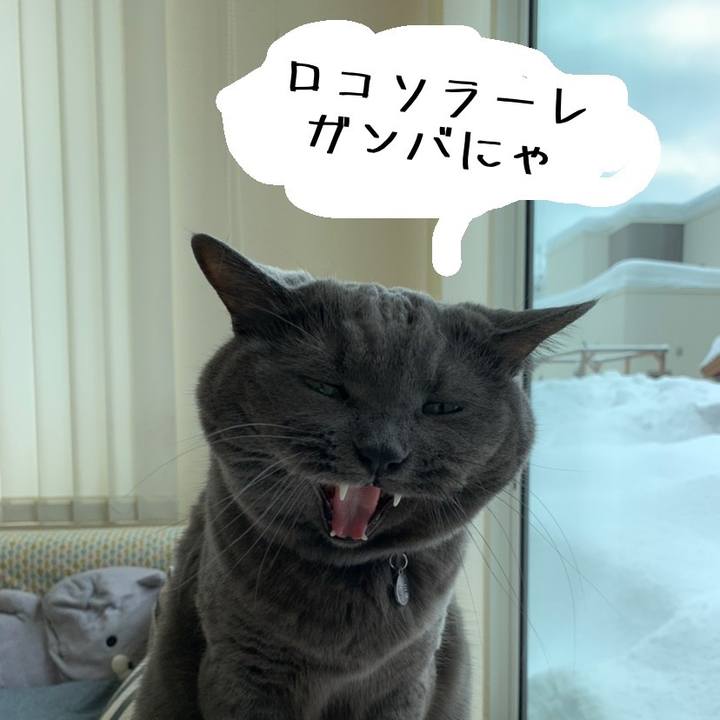 F477fde9 cf97 43a6 b109 539475f02fe9 1645322243711