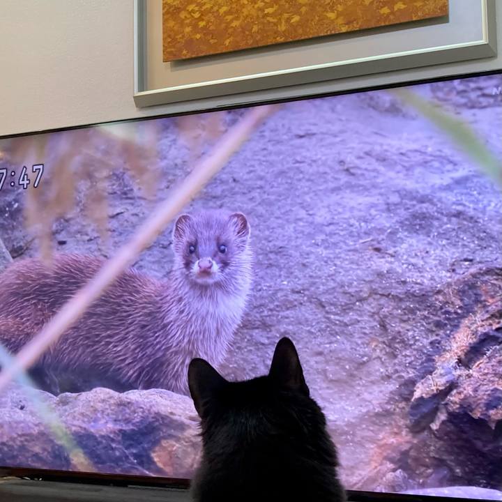 F4780c67 845d 45ad a5e4 777a97a8d252 1742187948826