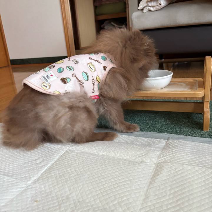 F47812c8 2564 4080 8309 7bf559bc0068 1768178962908