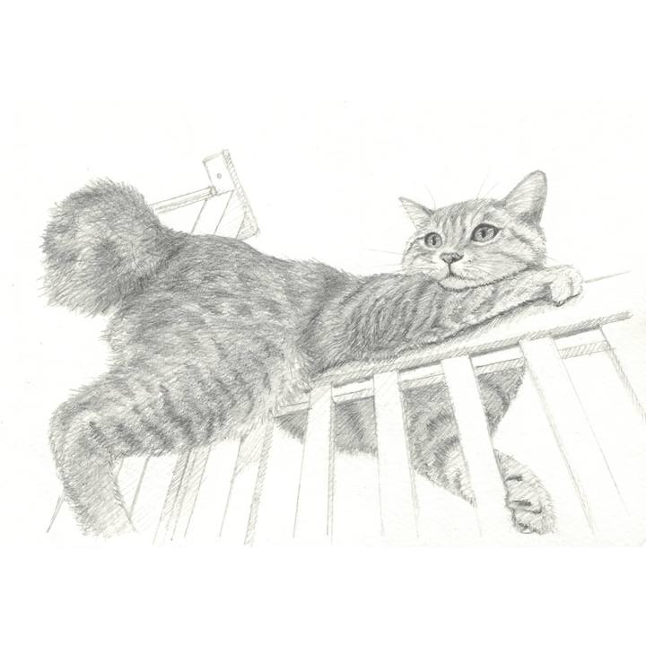 F4782c5a c24b 42e1 bc1a 8613c0bb3e43 1539351024994