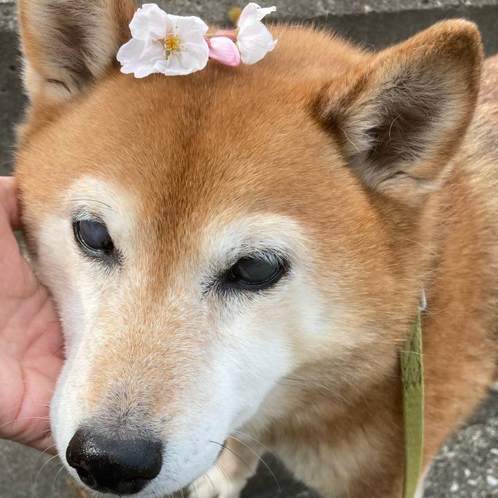 F4784990 545d 449a b34b dc81475de185 1679389869038