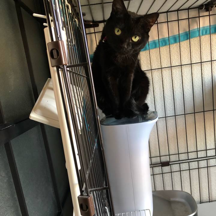 F4786ace 345e 406b 8d89 ede2a208063c 1619339540259