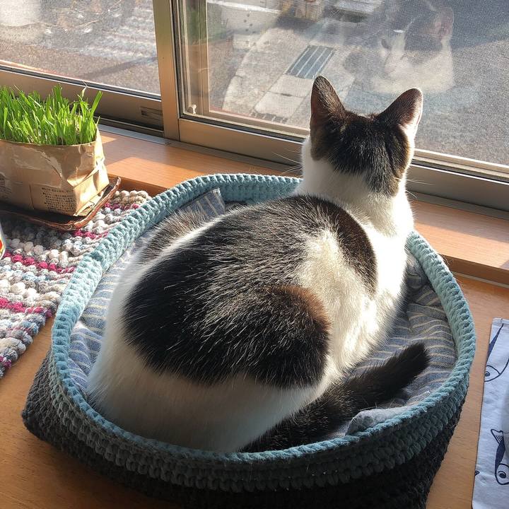 F4786b60 ed4b 4179 bb25 a5364dd24df7 1684274697176