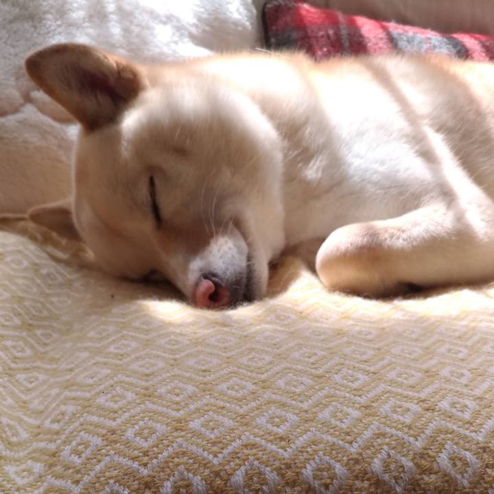 F47889c6 c406 463c b44e b8e3f74b6264 1555636303286