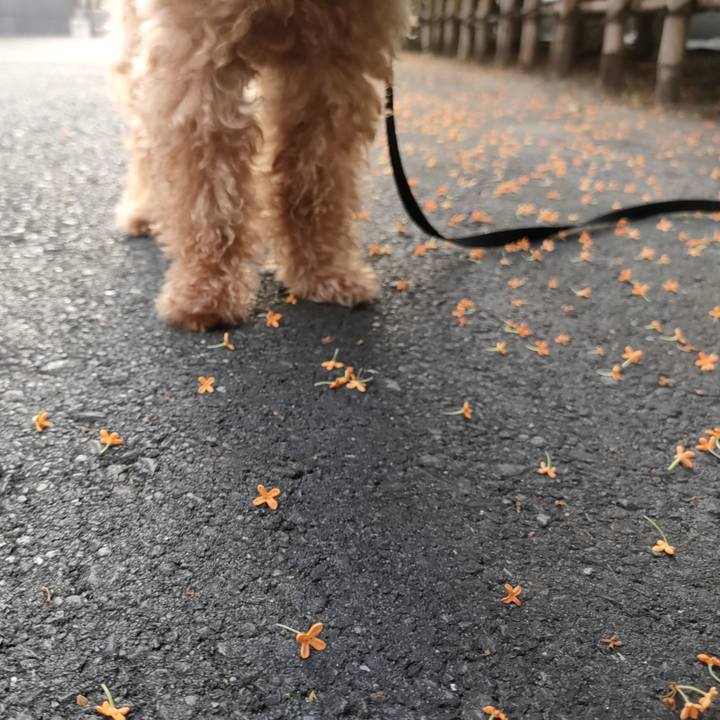 F4789f80 a0a7 46b9 9e92 9fe6b576c2f1 1633731227974