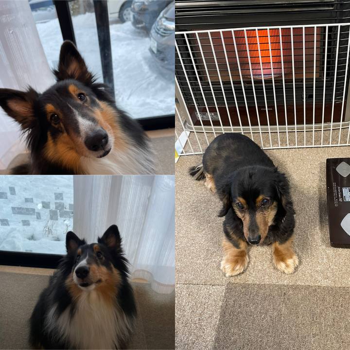 F478a7b6 0cbc 4428 9539 75842679fd54 1612476617159