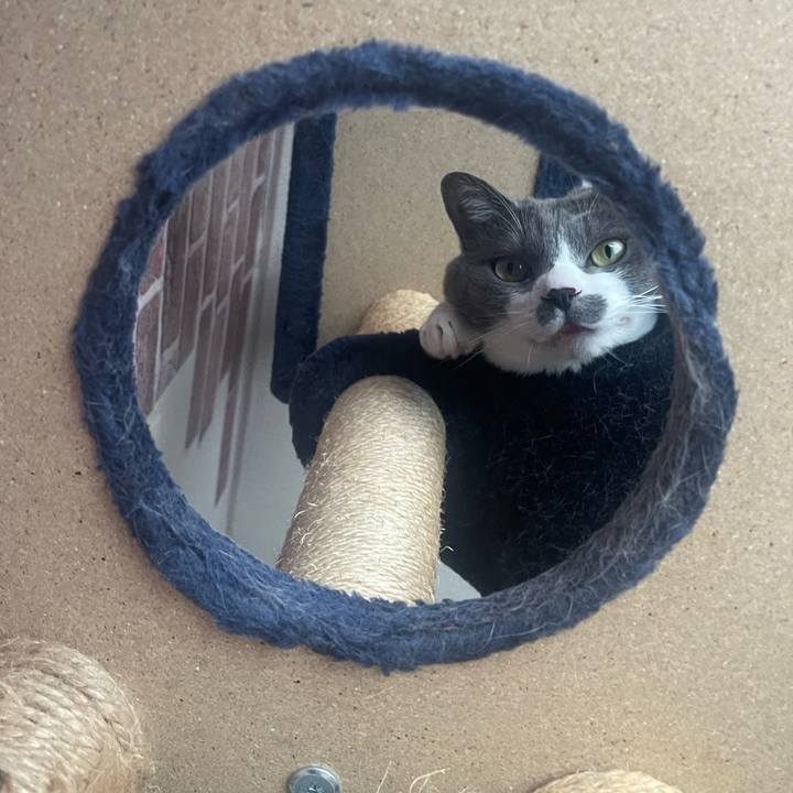 F478d213 0565 45b5 afe5 27aec2a3cbac 1716362841111