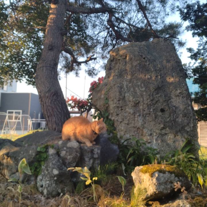 F478f8e1 174a 4ae1 927a 96fcfb4dc9cd 1749073485311