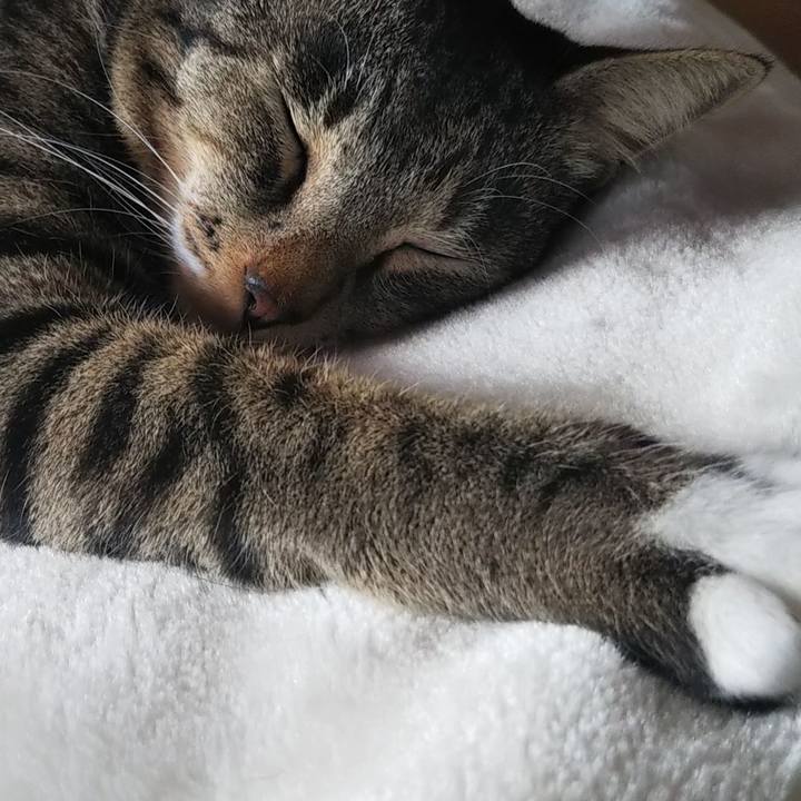 F4790318 b20d 4120 8ed7 681ded3699d8 1603595500043