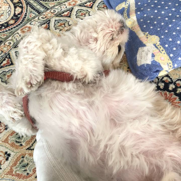 F47971cc b26f 4e6d 82ee 0eb0d77791bc 1542145287787