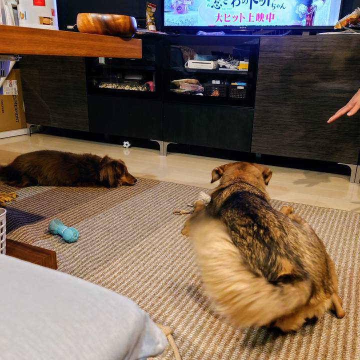 F4797a2a 78f4 4904 baf5 006914d4f732 1702733404342