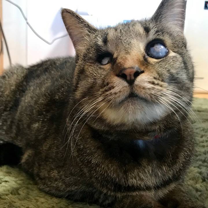 F4799215 f13e 4eb4 8530 18fbe08604dc 1555550390201