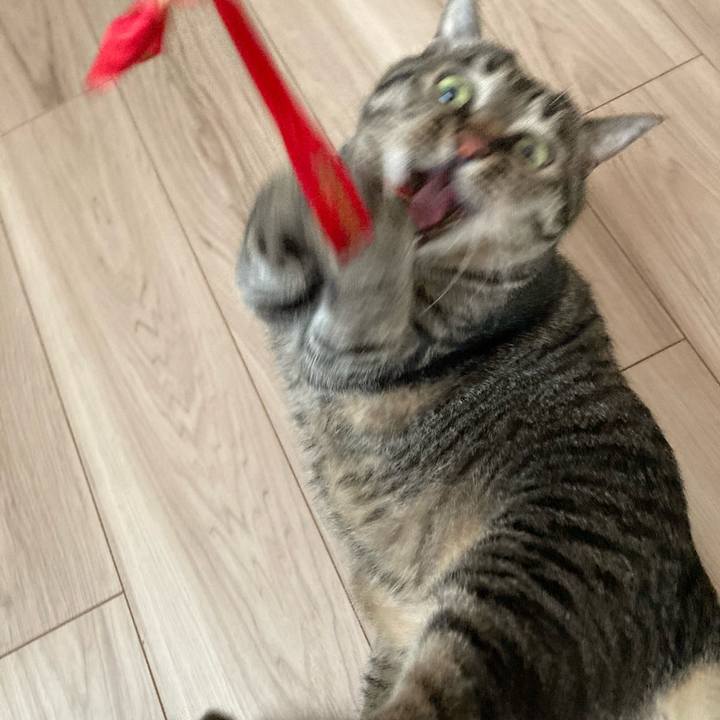 F47a0385 9493 4059 a59f 82064f84ea46 1680134030398