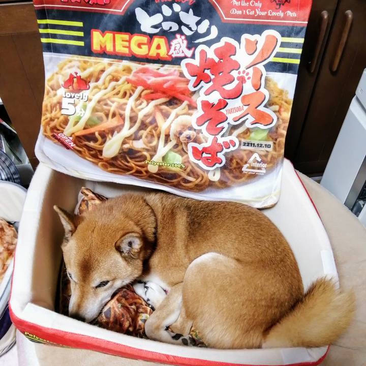 F47a05a5 e41b 4710 92b6 a76a2aed7a03 1606208967184