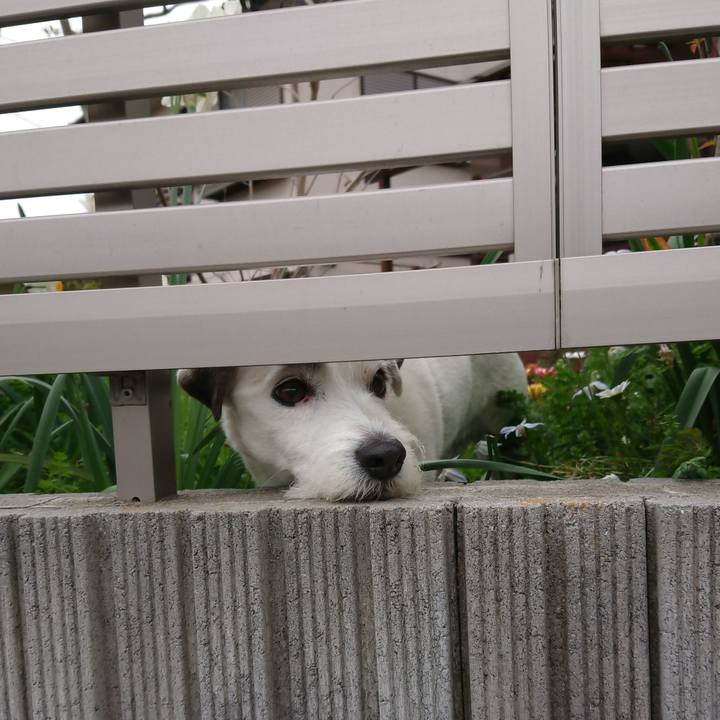 F47a114f f2a6 46bb b521 95e1912f0f04 1556061049186