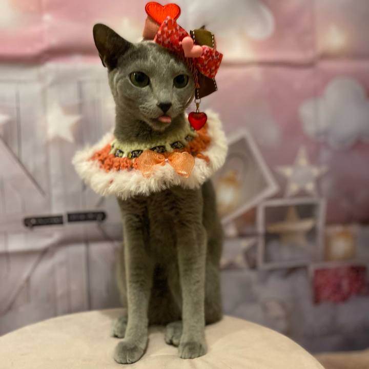 F47a1218 7f1c 47ae abe8 734b2c1098fa 1706330058032