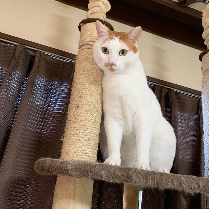 F47a5a2e 1143 493e 9d2b 5d79b51142b8 1575421504805