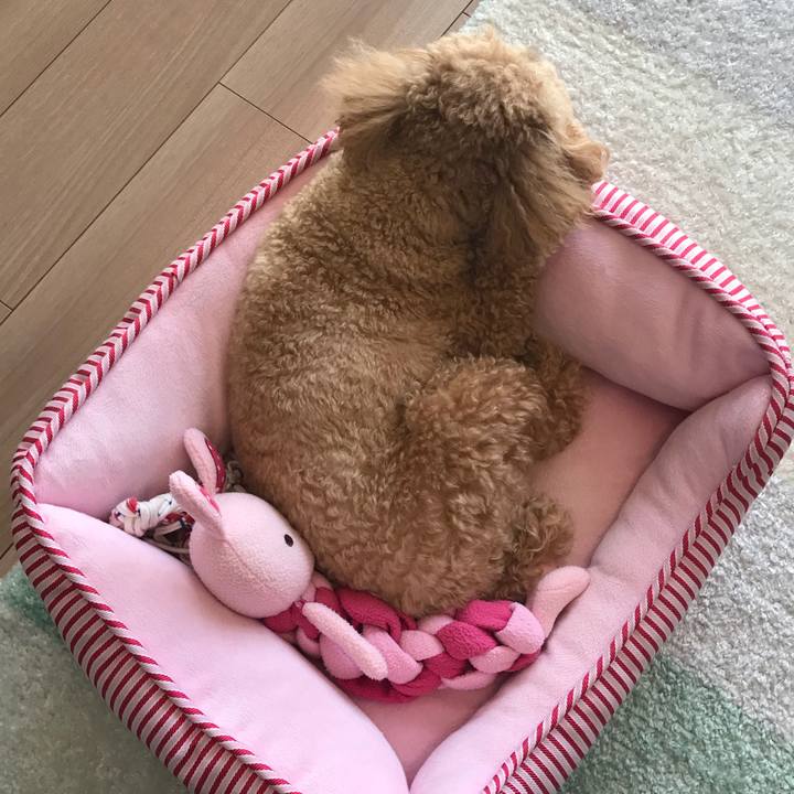 F47a660f 16ee 454b a727 707bdeb9ab4a 1521250631503