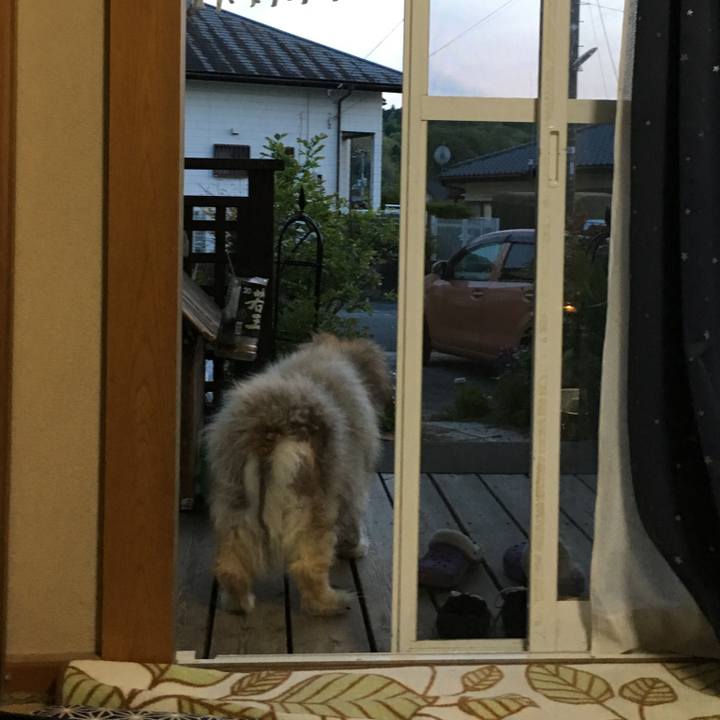 F47a6fd8 2e9c 4ac8 92ec e9768450b2c9 1569300555112