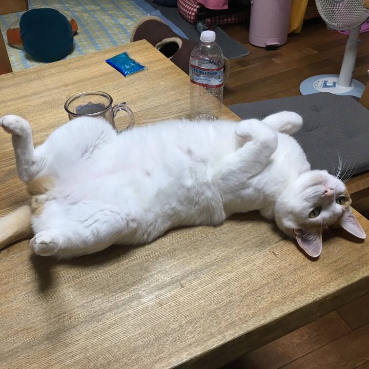 F47a716e ca8a 45a1 a32e 8c4bbbdab5b9 1532784582977