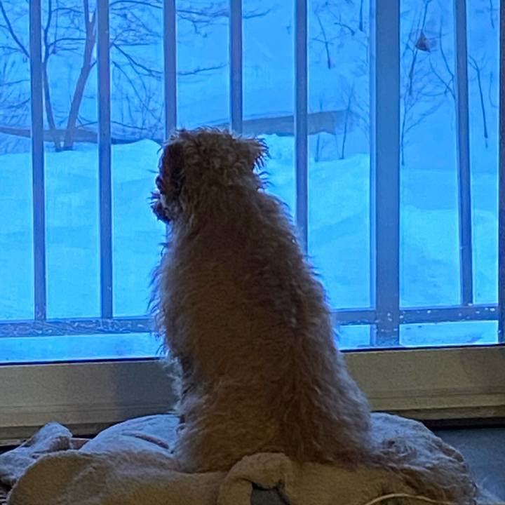 F47a7529 0a06 4d8a a0fd 259badada346 1646256089143