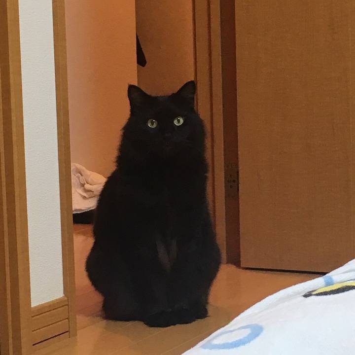 F47a94a8 116f 4870 88b4 7114e0317c40 1531579841860