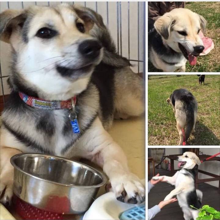 F47af337 a5b6 4758 80f0 b34db516e84a 1750593860502