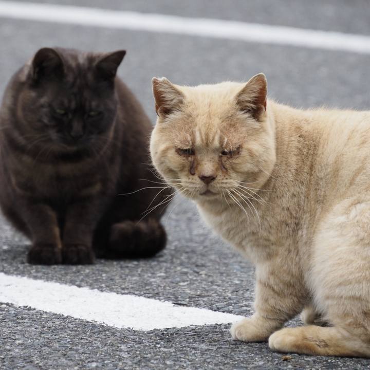 F47b87ef eaa9 4537 bc97 2869033bd76e 1616826473256