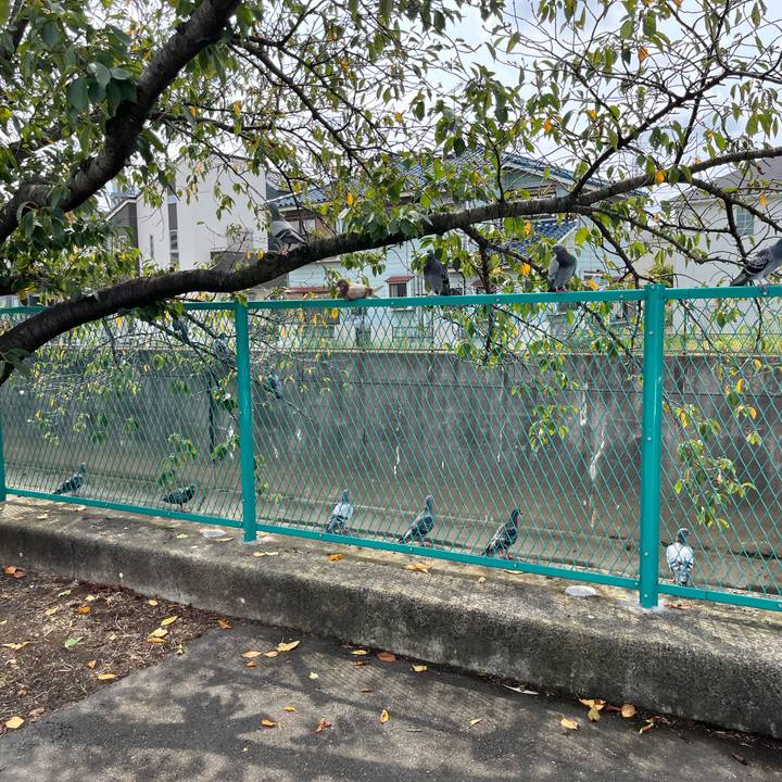 F47b92c9 e06d 4203 ba07 4e9df2f91f30 1727497577445