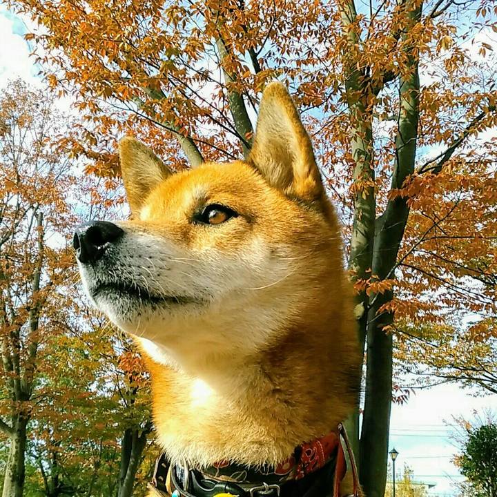 F47b9483 841c 4f9a 9a22 e5aa053242dc 1573691690284