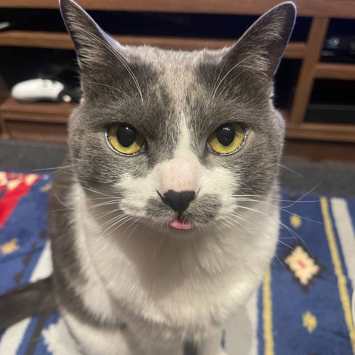 F47bad70 64e7 4ebc 8eca 29d4496e489c 1683131972664