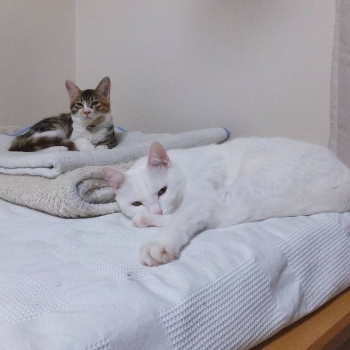 F47bb3ca ef50 4f53 8aec cf360570e686 1632194431228