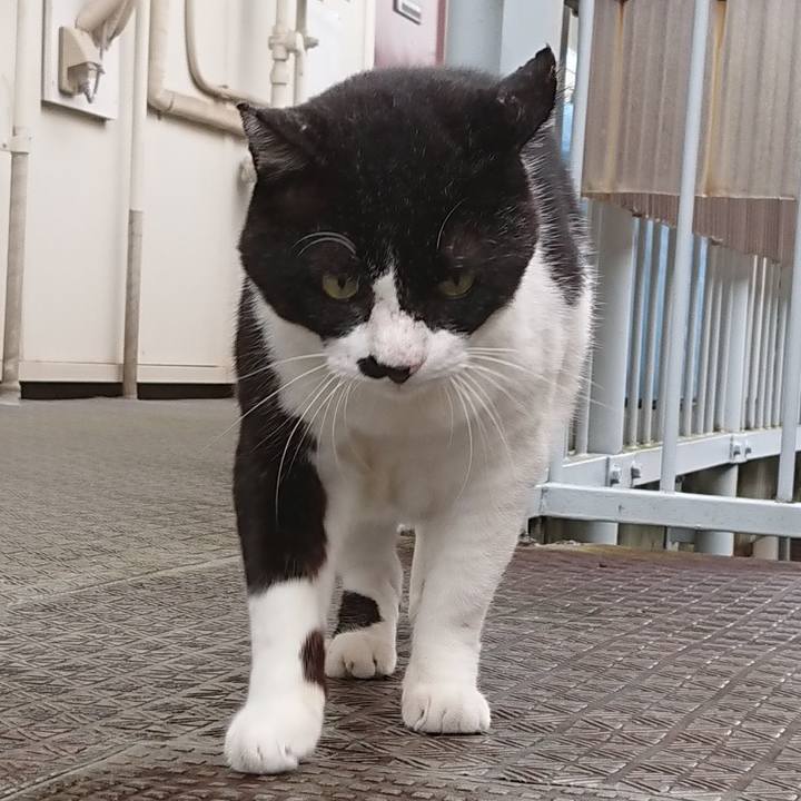 F47bc216 bba3 4cac b7b3 55adff306483 1596235503746