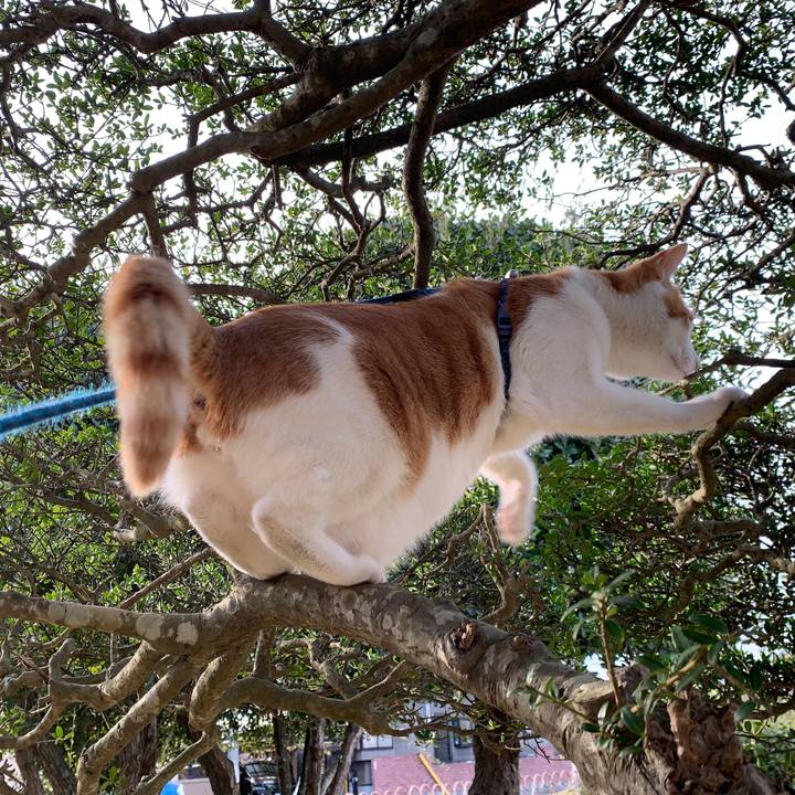 F47bde12 56ae 4011 88ce cfab5ff35f38 1578728114130