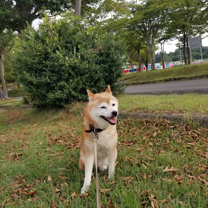 F47bea27 bf7a 41d6 9d61 bafbae28e5b0 1694071583414