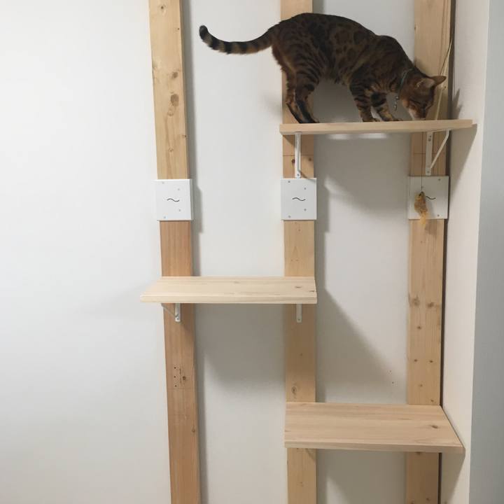 F47c03a3 6d79 4619 b99a cd35491f687d 1534321407535