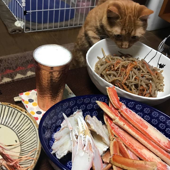 F47c08db 82c0 48f5 abb2 89b53de3e71a 1523968582342