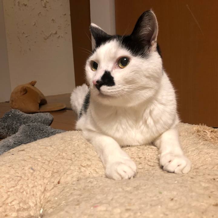 F47c2962 26ea 473e 8e6f 203d8751f8ee 1641714991578