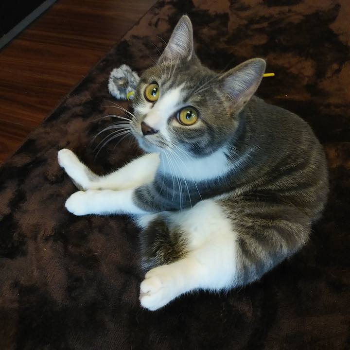 F47c2e40 30f9 40e2 9825 f5cdc3db323f 1576556910907